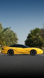 2002 Pontiac Firebird Trans Am WS6 Collector Edition Coupe - 68k mile