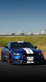 2018 Ford Mustang Shelby GT350 Coupe - 61k km