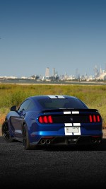 2018 Ford Mustang Shelby GT350 Coupe - 61k km