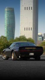 1979 Pontiac Firebird Trans Am - Fully Restored