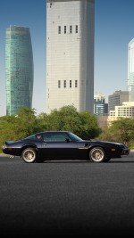 1979 Pontiac Firebird Trans Am - Fully Restored