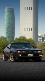 1979 Pontiac Firebird Trans Am - Fully Restored