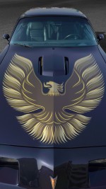 1979 Pontiac Firebird Trans Am - Fully Restored