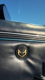 1979 Pontiac Firebird Trans Am - Fully Restored