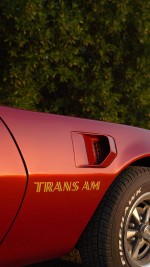 1976  Pontiac Firebird Trans Am 6.6 Maroon