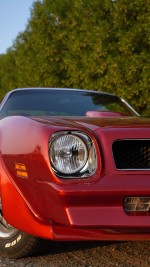 1976  Pontiac Firebird Trans Am 6.6 Maroon