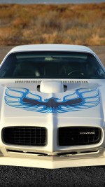 1973 Pontiac Firebird Trans Am 455