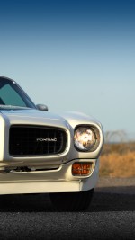 1973 Pontiac Firebird Trans Am 455