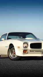 1973 Pontiac Firebird Trans Am 455