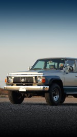 1996 Nissan Safari Standard 4x4 - 274k km