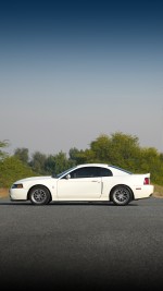 2003 Ford Mustang SVT  Cobra Terminator Coupe - 62k mile