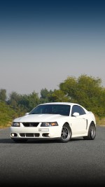 2003 Ford Mustang SVT  Cobra Terminator Coupe - 62k mile