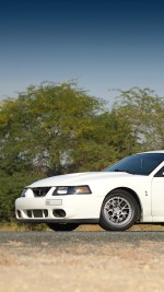 2003 Ford Mustang SVT  Cobra Terminator Coupe - 62k mile