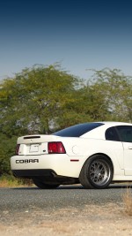 2003 Ford Mustang SVT  Cobra Terminator Coupe - 62k mile