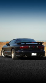 2002 Pontiac Firebird Trans Am WS6 T-Top 6-Speed - 137k km