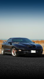 2002 Pontiac Firebird Trans Am WS6 T-Top 6-Speed - 137k km