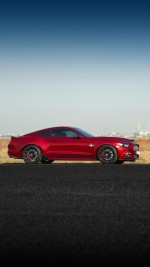 2016 Ford Mustang Shelby Super Snake 6-Speed - 888 mile Only