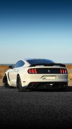 2016 Ford Mustang Shelby GT350 - 56k mile