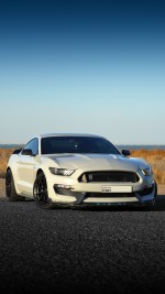 2016 Ford Mustang Shelby GT350 - 56k mile