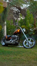 2010 Chopper Bull Yaffe - 1 Of 1 In The World