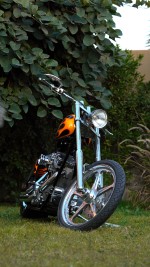 2010 Chopper Bull Yaffe - 1 Of 1 In The World