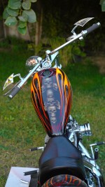 2010 Chopper Bull Yaffe - 1 Of 1 In The World