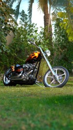 2010 Chopper Bull Yaffe - 1 Of 1 In The World