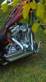 2010 Chopper Bull Yaffe - 1 Of 1 In The World