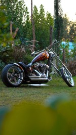 2010 Chopper Bull Yaffe - 1 Of 1 In The World