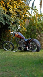 2010 Chopper Bull Yaffe - 1 Of 1 In The World