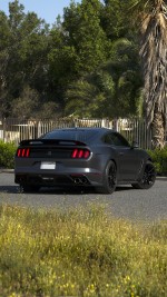 2019 Ford Mustang Shelby GT350 - 49k km