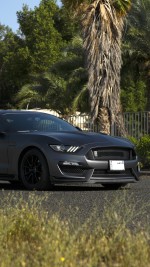 2019 Ford Mustang Shelby GT350 - 49k km