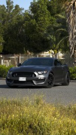 2019 Ford Mustang Shelby GT350 - 49k km