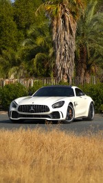 2019 Mercedes-Benz AMG GT R Track Pack - 42k km