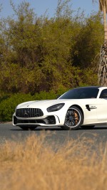 2019 Mercedes-Benz AMG GT R Track Pack - 42k km