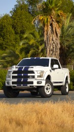 2016 Ford Shelby F-150 4×4 - 140k km