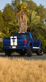 2016 Ford Shelby F-150 Super Crew 4×4