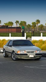 1991 Ford Mustang LX Notchback 5.0 - 102k mile