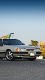 1991 Ford Mustang LX Notchback 5.0 - 102k mile