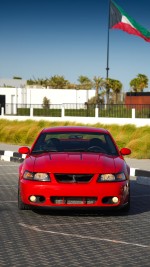 2004 Ford Mustang Cobra SVT Terminator - 38k Mile