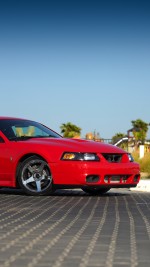 2004 Ford Mustang Cobra SVT Terminator - 38k Mile