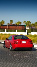 2004 Ford Mustang Cobra SVT Terminator - 38k Mile