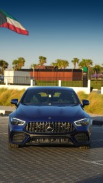 2019 Mercedes-Benz AMG GT 43 Coupe - 7156 km