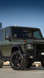 1996 Mercedes-Benz G320 - 185k km