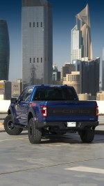 2022 Ford F-150 Raptor 35 - 73k km