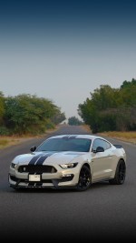 2017 Ford Mustang Shelby GT350 Coupe - 21k km