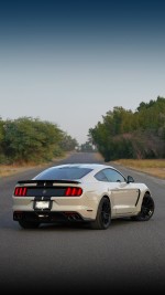 2017 Ford Mustang Shelby GT350 Coupe - 21k km