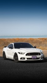 2016 Ford Mustang GT Performance Package - 48k km