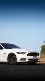 2016 Ford Mustang GT Performance Package - 48k km