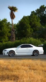 1999 Nissan Skyline GT-R - 114k km